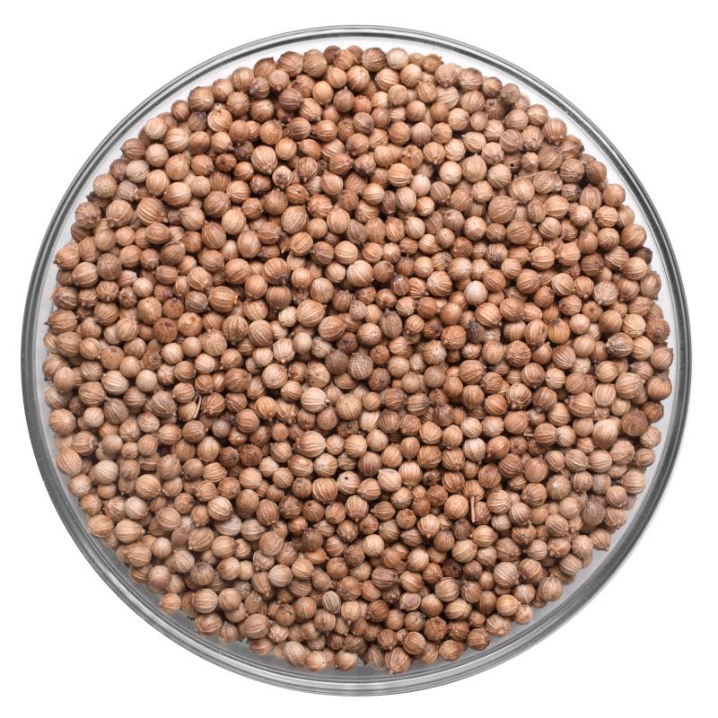 Bio Koriandersamen | ganz | 3 mm