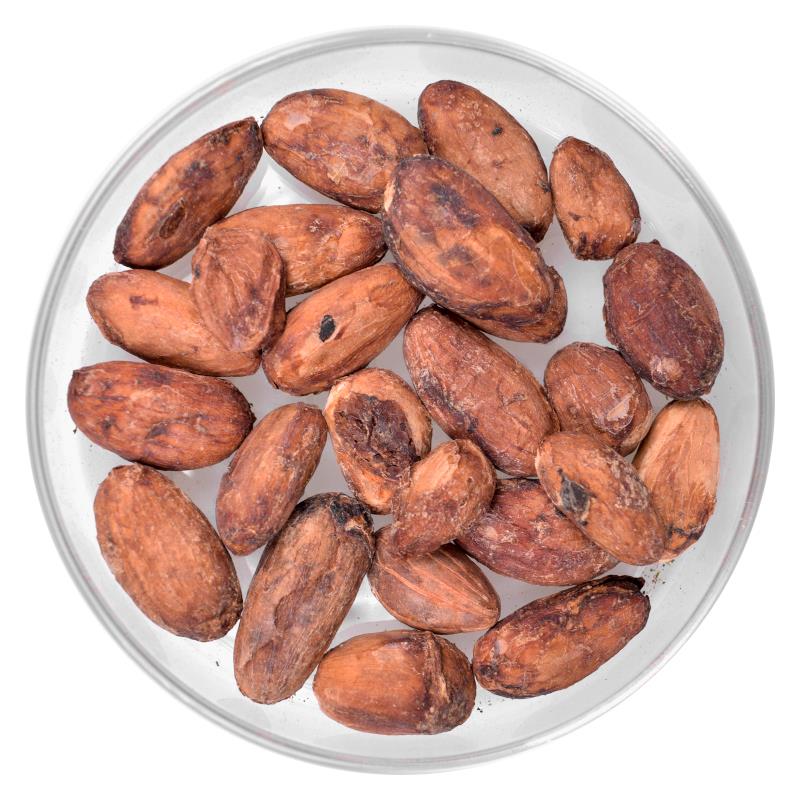 Bio Kakao | Criollo | Bohnen | roh 50-52%