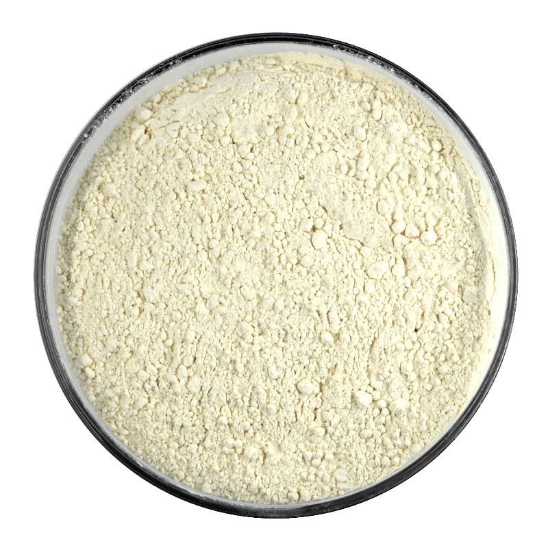 Bio Knoblauch | Pulver